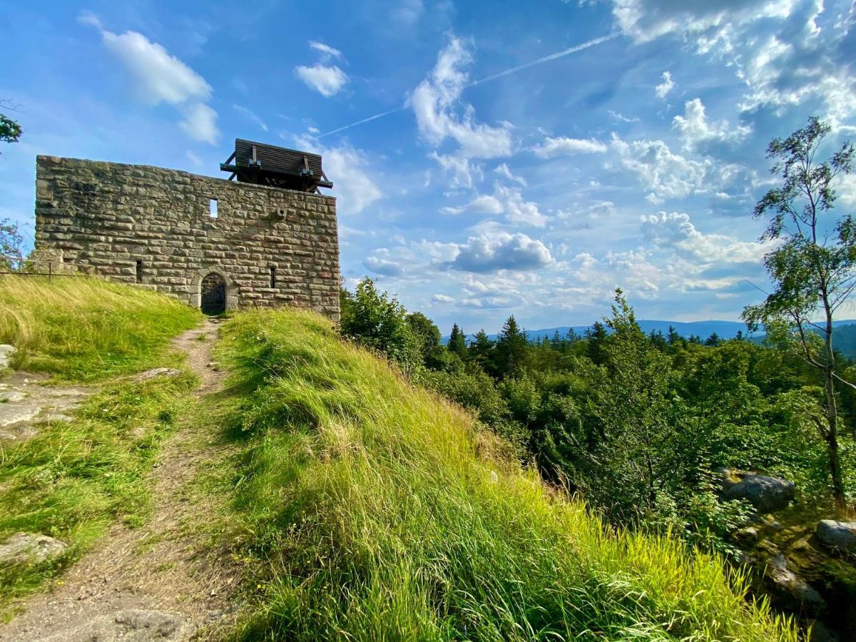 Ferienwohnung Oxana Im Naturpark Fichtelgebirge Schonwald  外观 照片