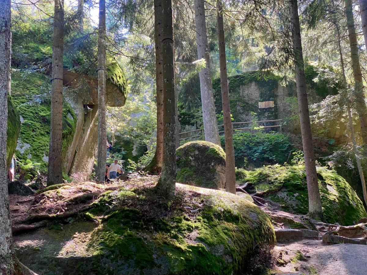 Ferienwohnung Oxana Im Naturpark Fichtelgebirge Schonwald  外观 照片