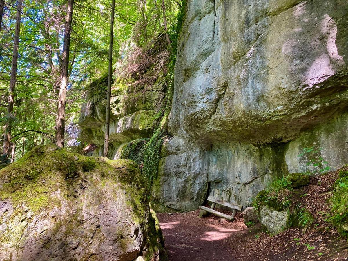 Ferienwohnung Oxana Im Naturpark Fichtelgebirge Schonwald  外观 照片