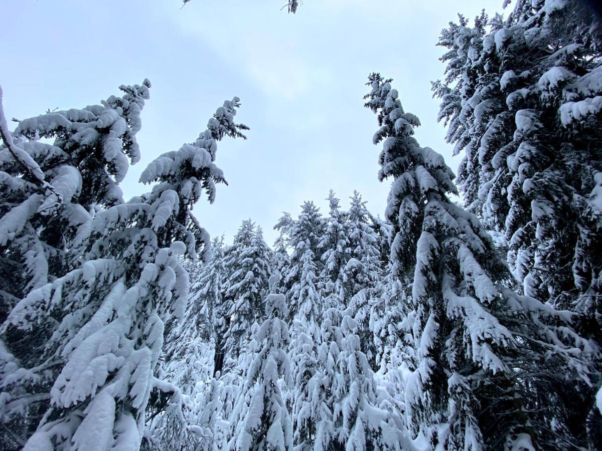 Ferienwohnung Oxana Im Naturpark Fichtelgebirge Schonwald  外观 照片