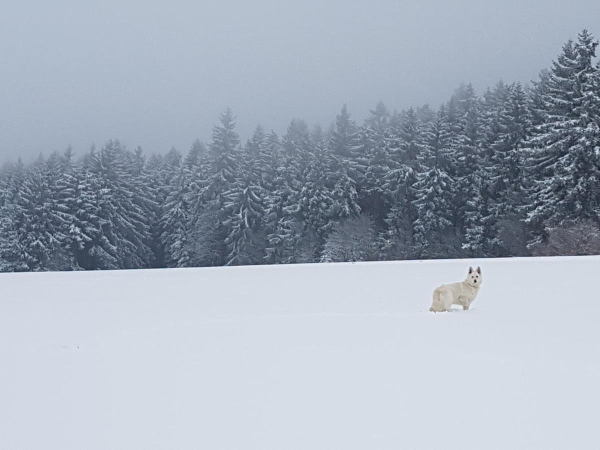 Ferienwohnung Oxana Im Naturpark Fichtelgebirge Schonwald  外观 照片