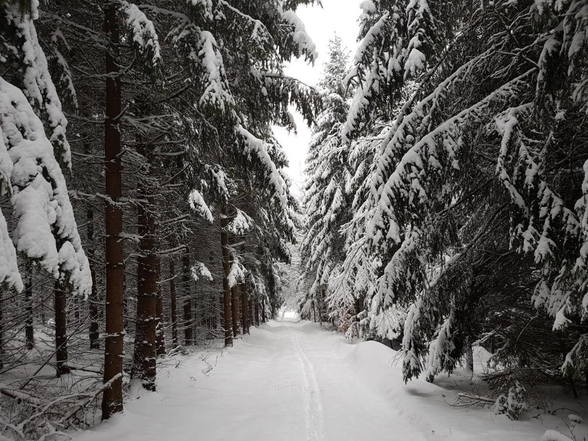 Ferienwohnung Oxana Im Naturpark Fichtelgebirge Schonwald  外观 照片