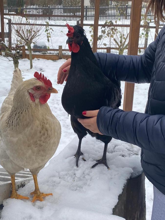 Ferienwohnung Oxana Im Naturpark Fichtelgebirge Schonwald  外观 照片